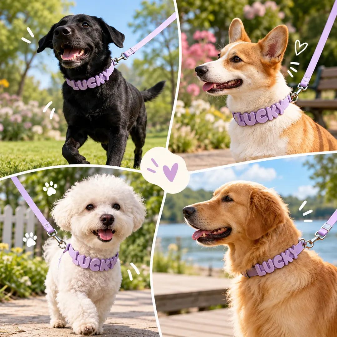 NameLoop™ Personalized Dog Collar