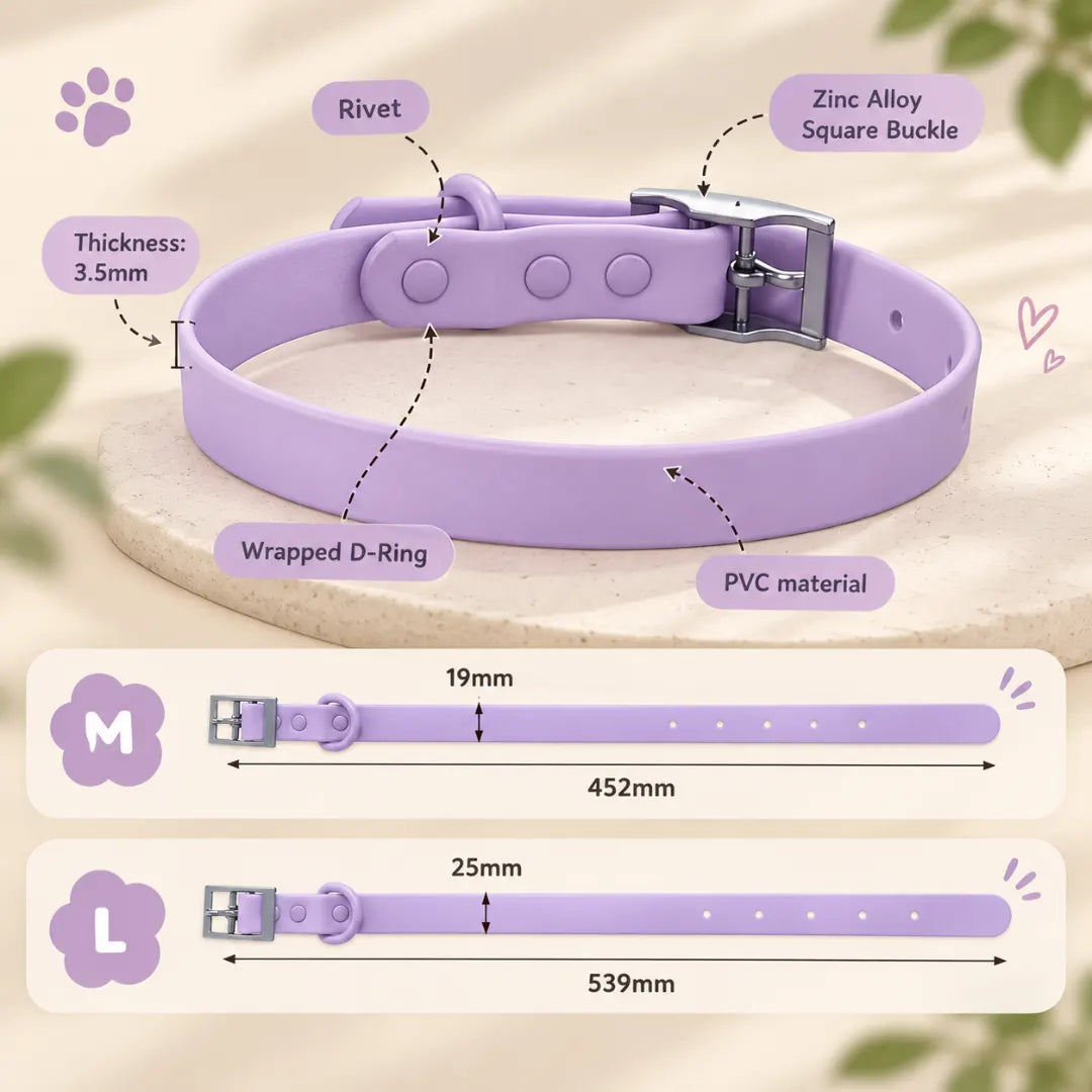 NameLoop™ Personalized Dog Collar