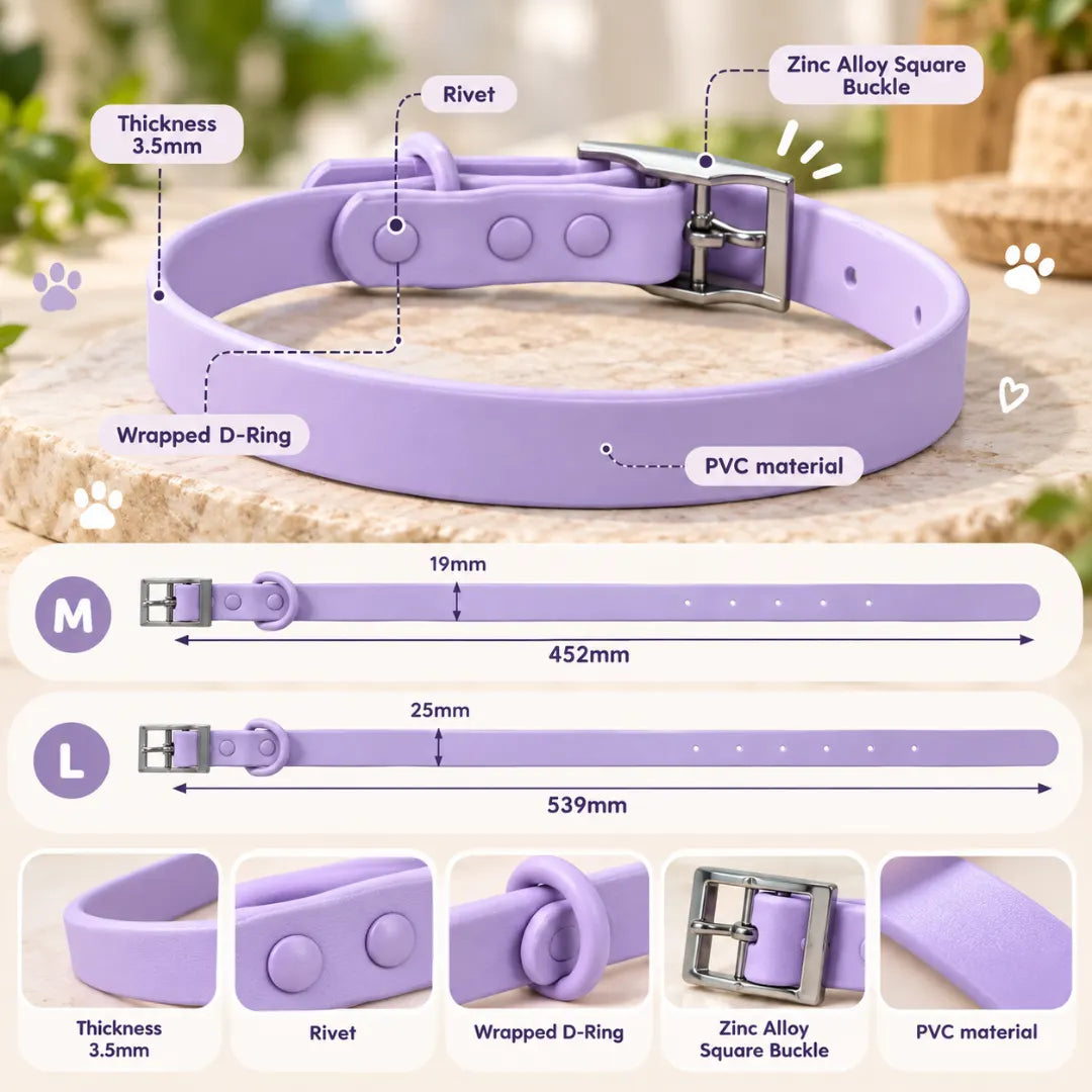 NameLoop™ Personalized Dog Collar
