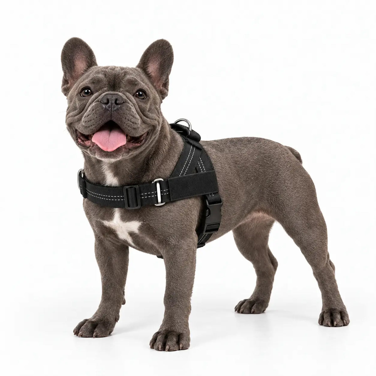 ControlFit™ No-Pull Harness | Comfortable Control for Easier Walks