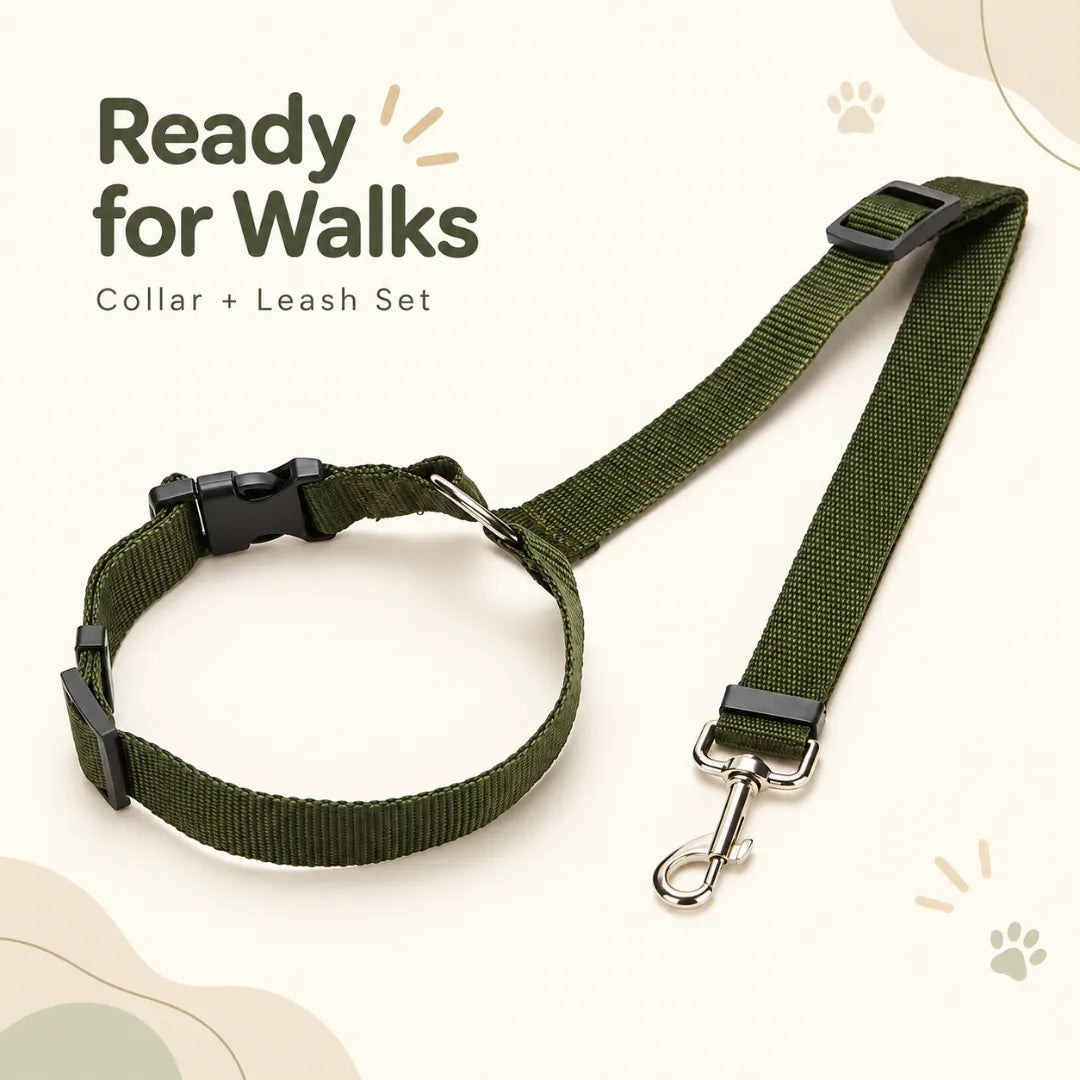 PawCar™ Adjustable Dog Seat Strap