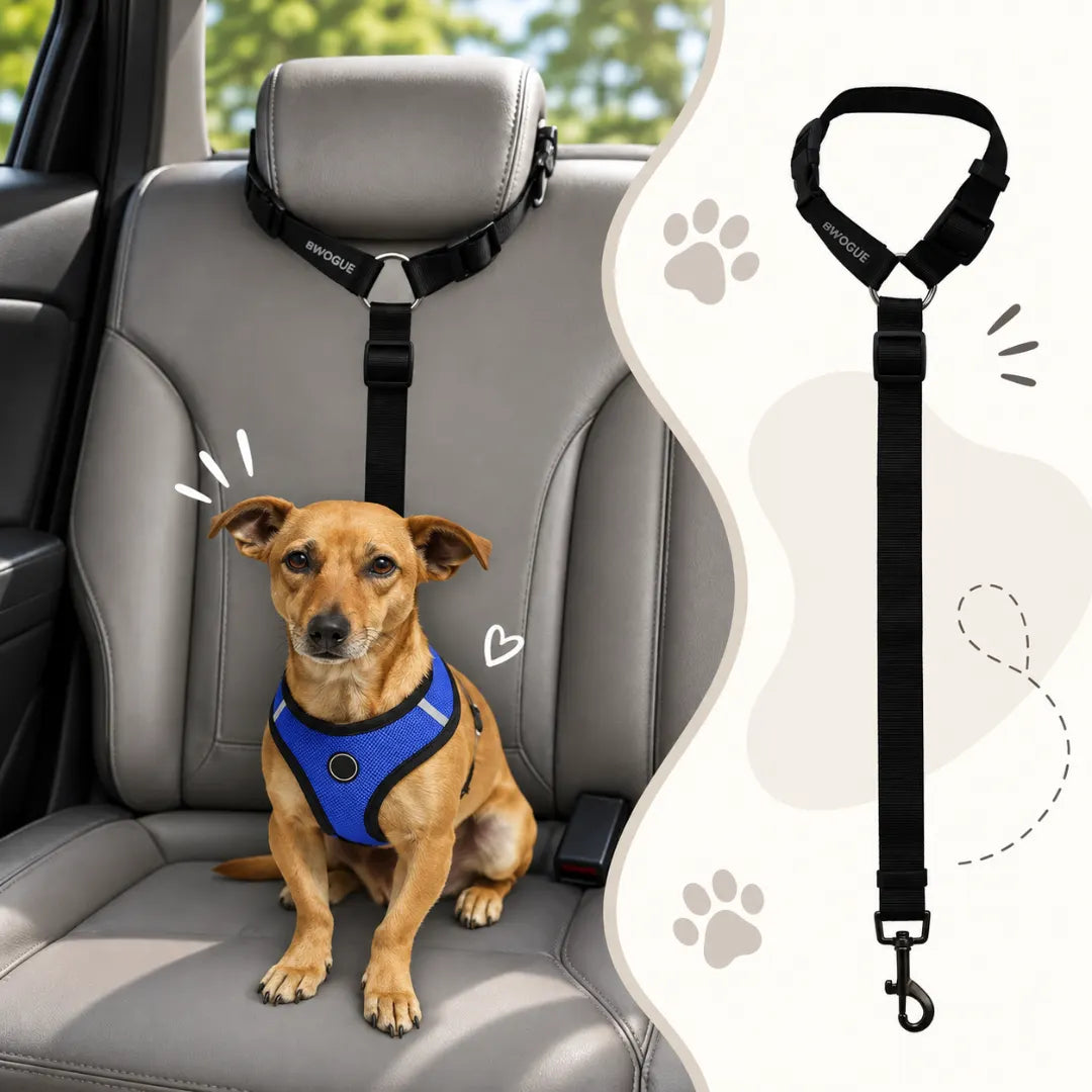 PawCar™ Adjustable Dog Seat Strap