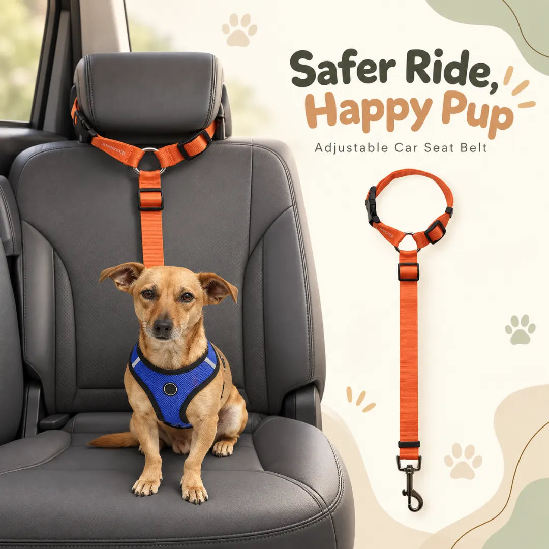 PawCar™ Adjustable Dog Seat Strap