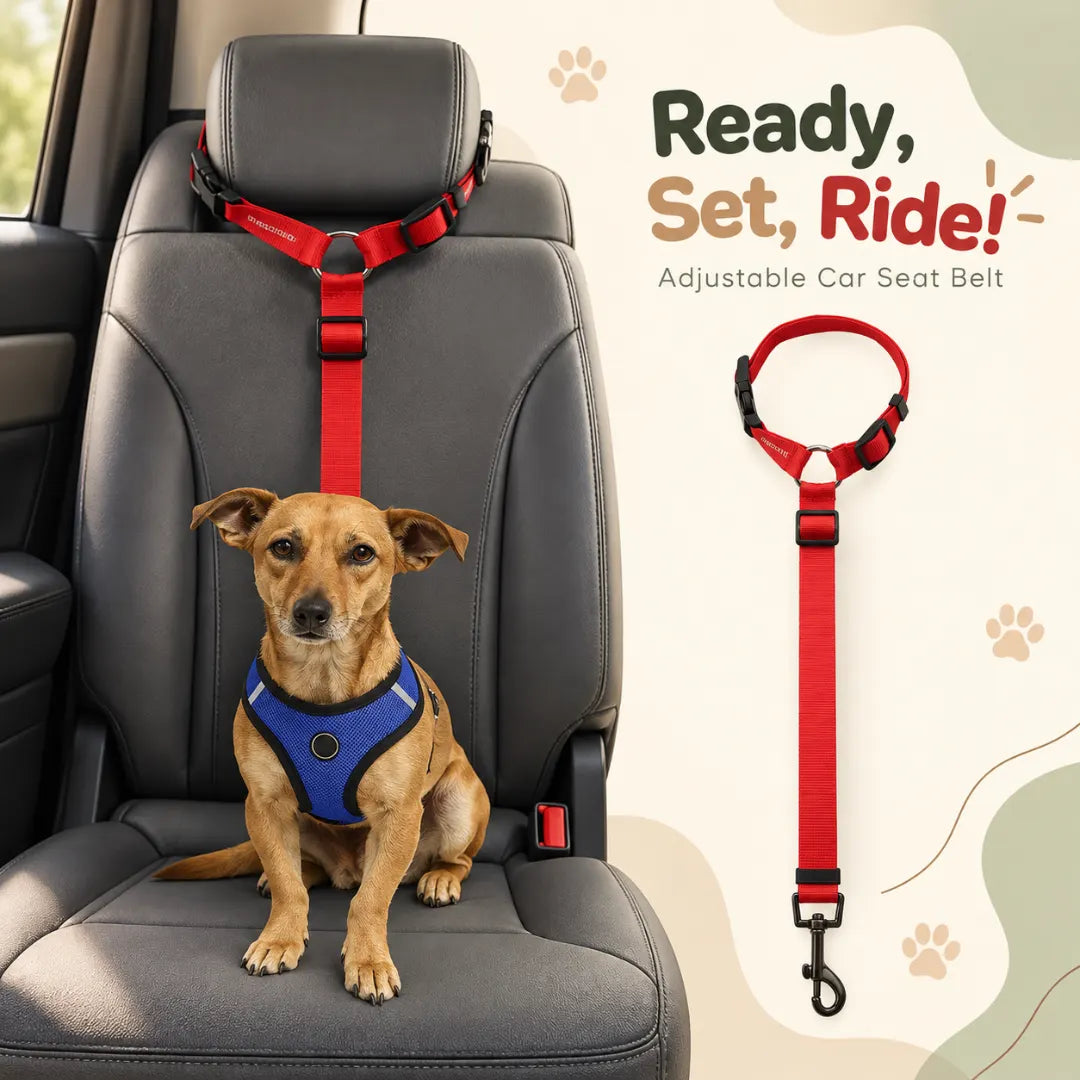 PawCar™ Adjustable Dog Seat Strap