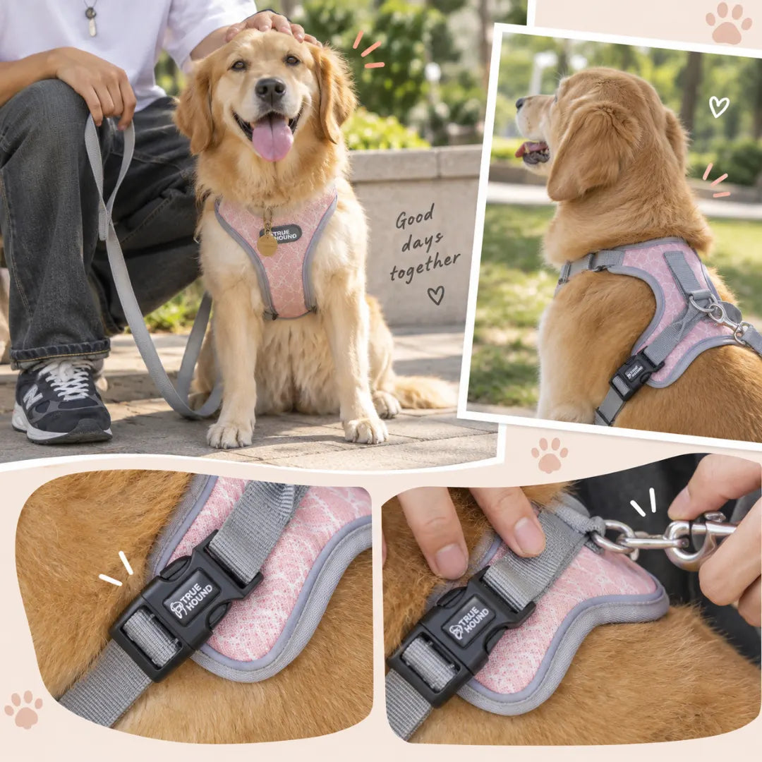 PawGuard™ Adjustable Puppy Vest Harness