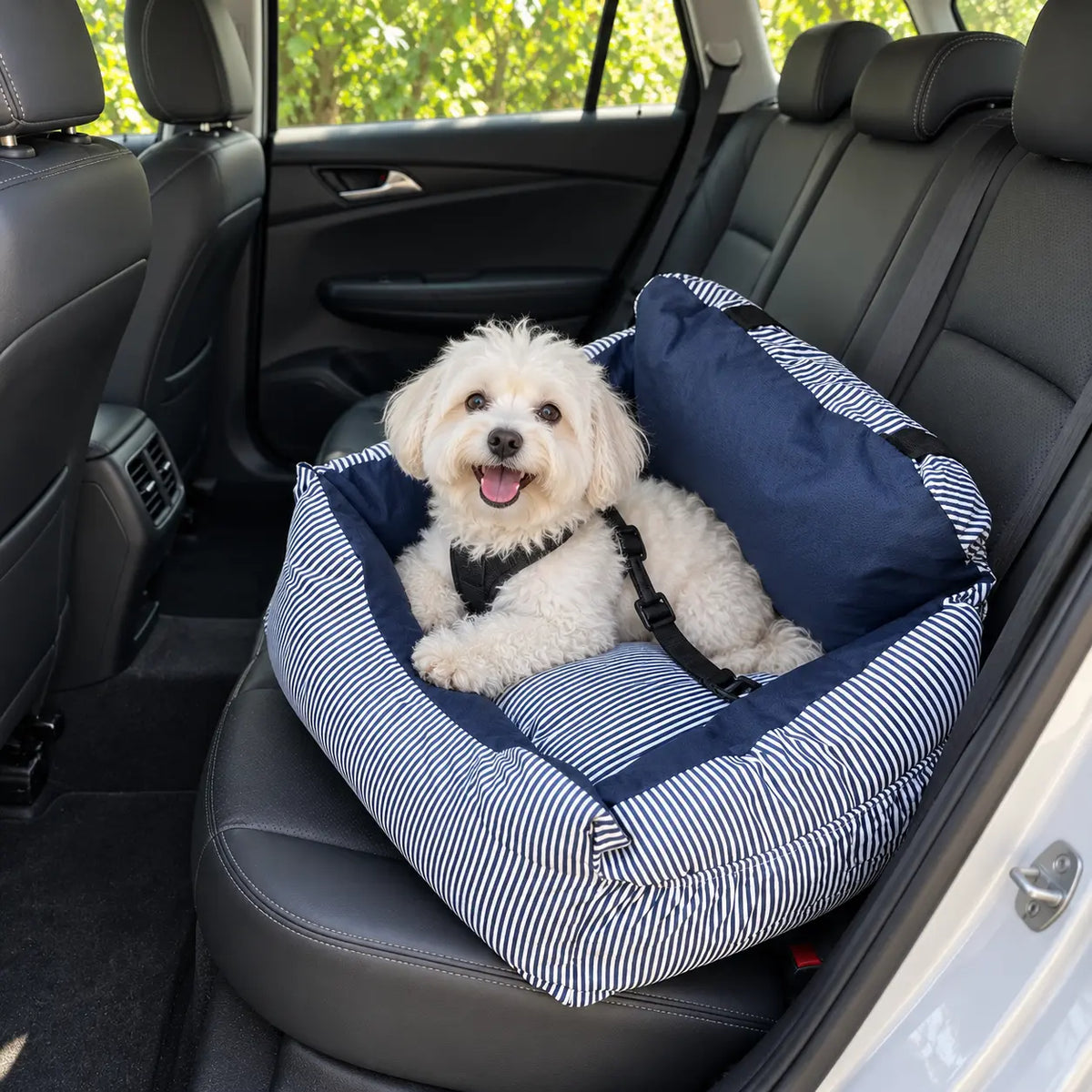 A small white dog sits in a blue and navy striped car seat booster inside a black car backseat.