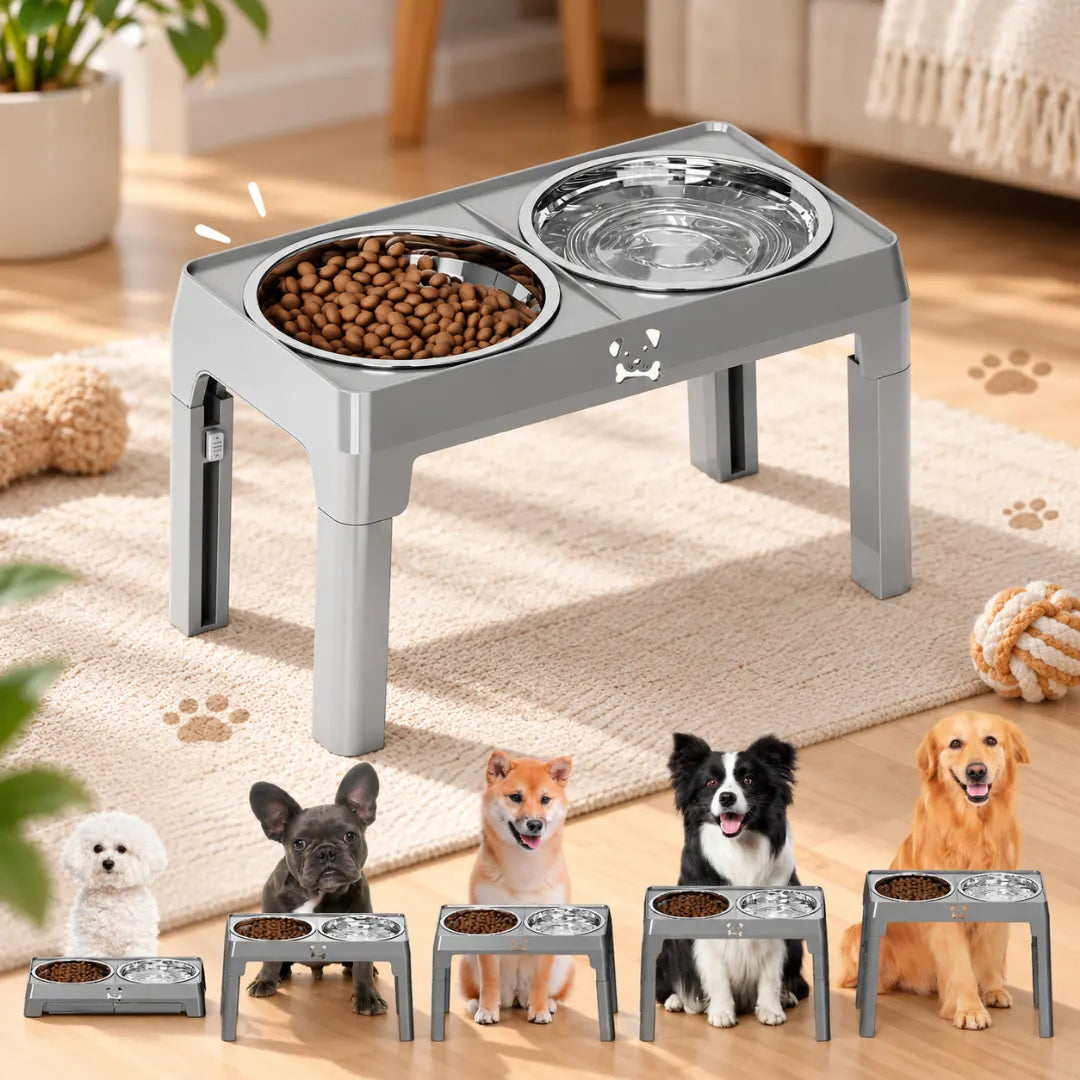 RaiseBowl™ Adjustable Dog Feeder
