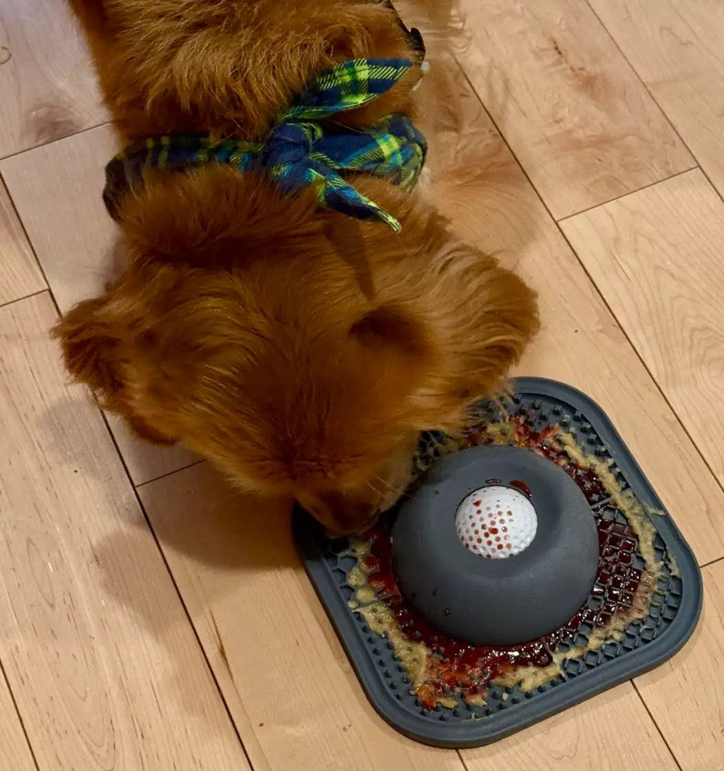 Bark Haul