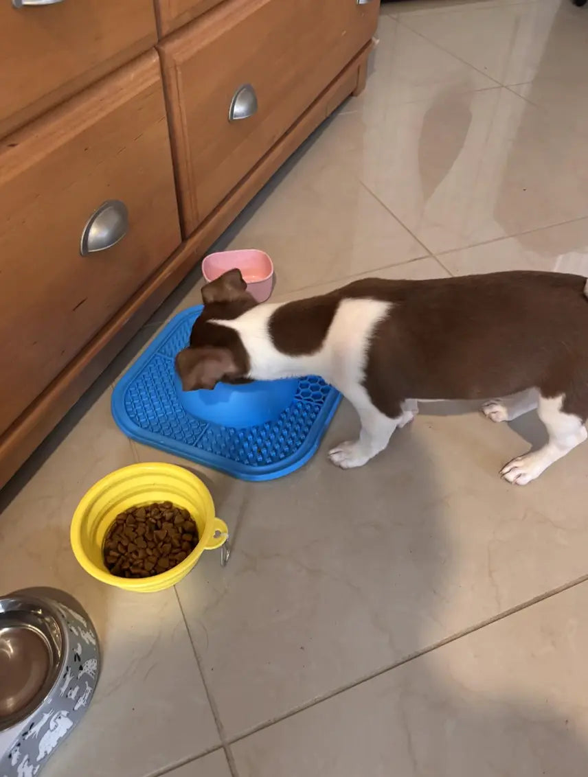 Bark Haul