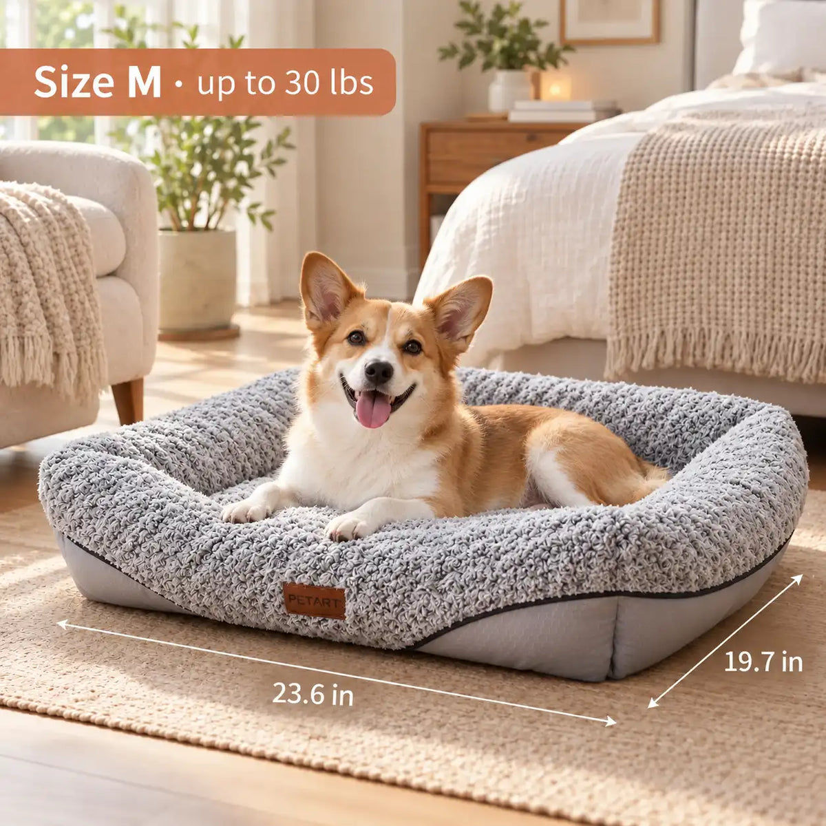 A corgi dog lies in a plush gray pet bed on a beige rug in a bright bedroom. White dimension lines and text show the bed measurements: 23.