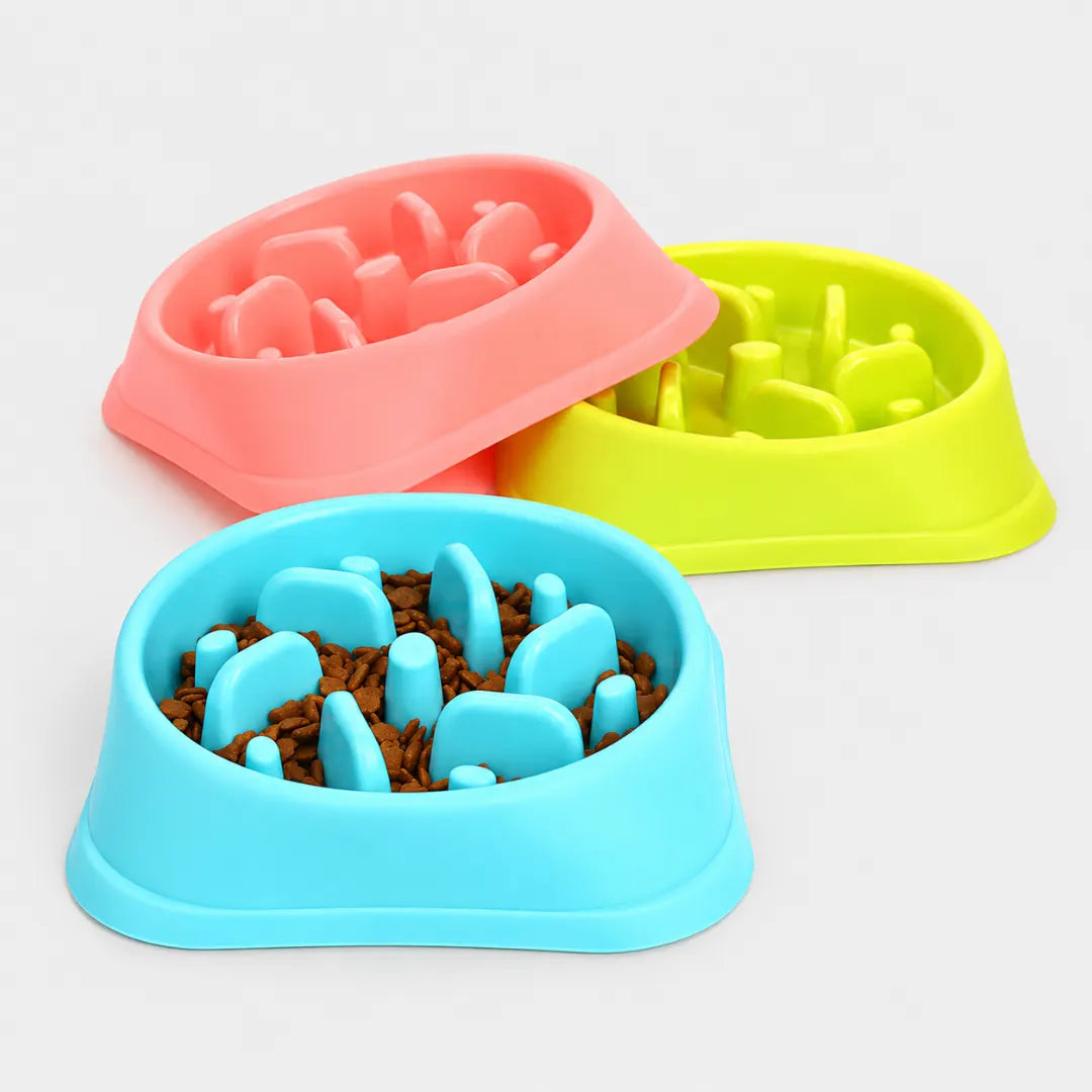 SteadyChew™ Slow Feeder Bowl