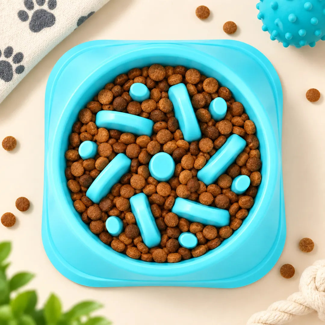 SteadyChew™ Slow Feeder Bowl