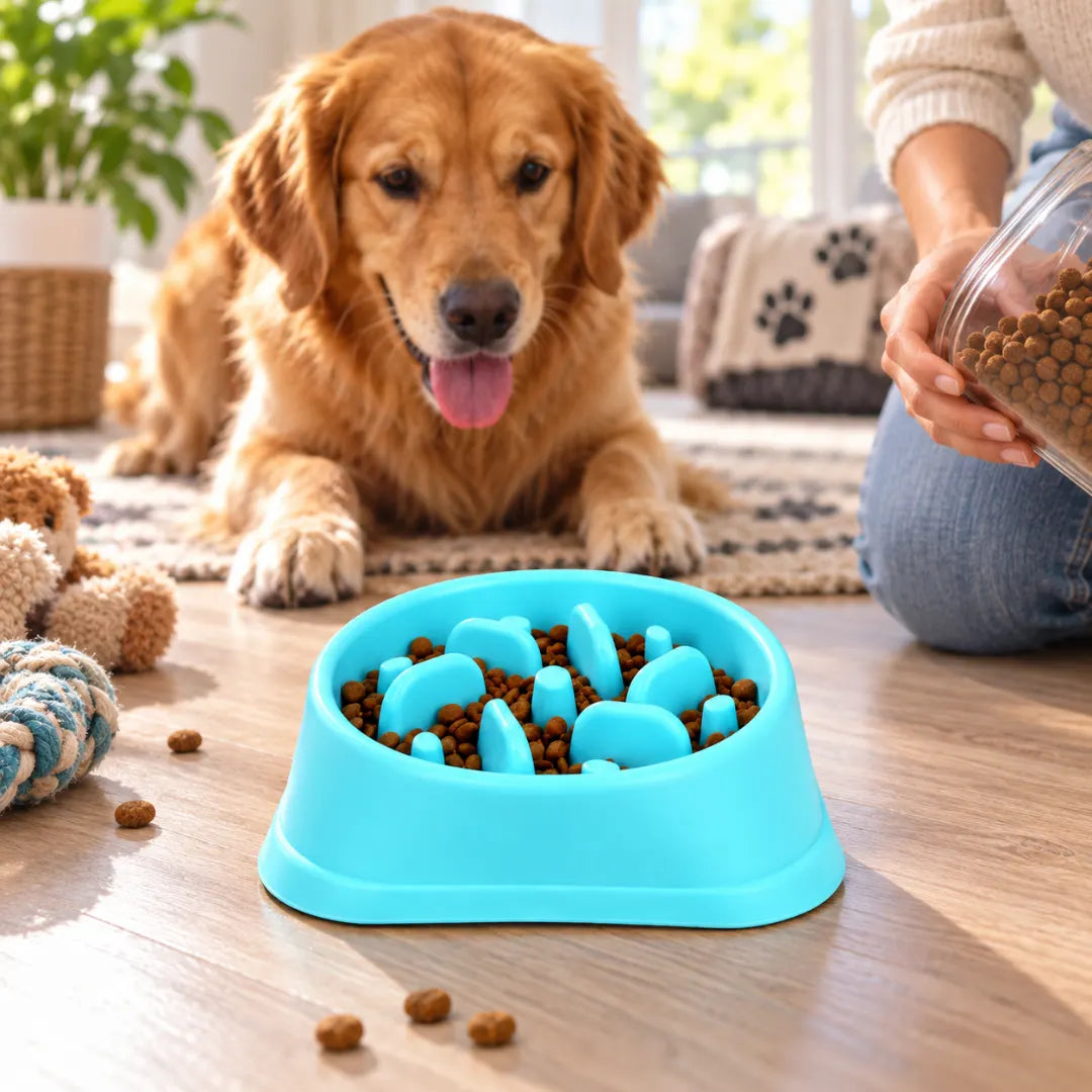 SteadyChew™ Slow Feeder Bowl