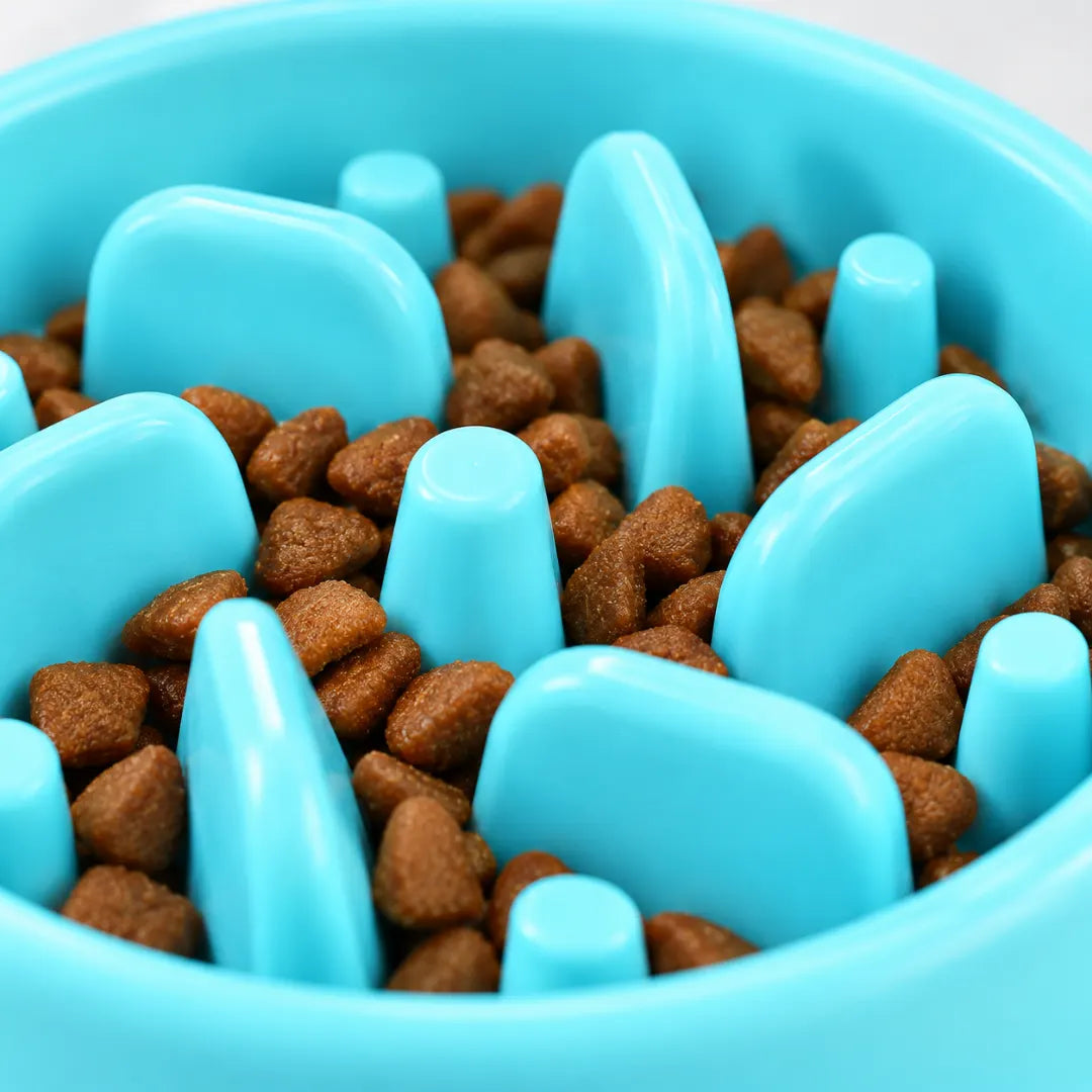 SteadyChew™ Slow Feeder Bowl