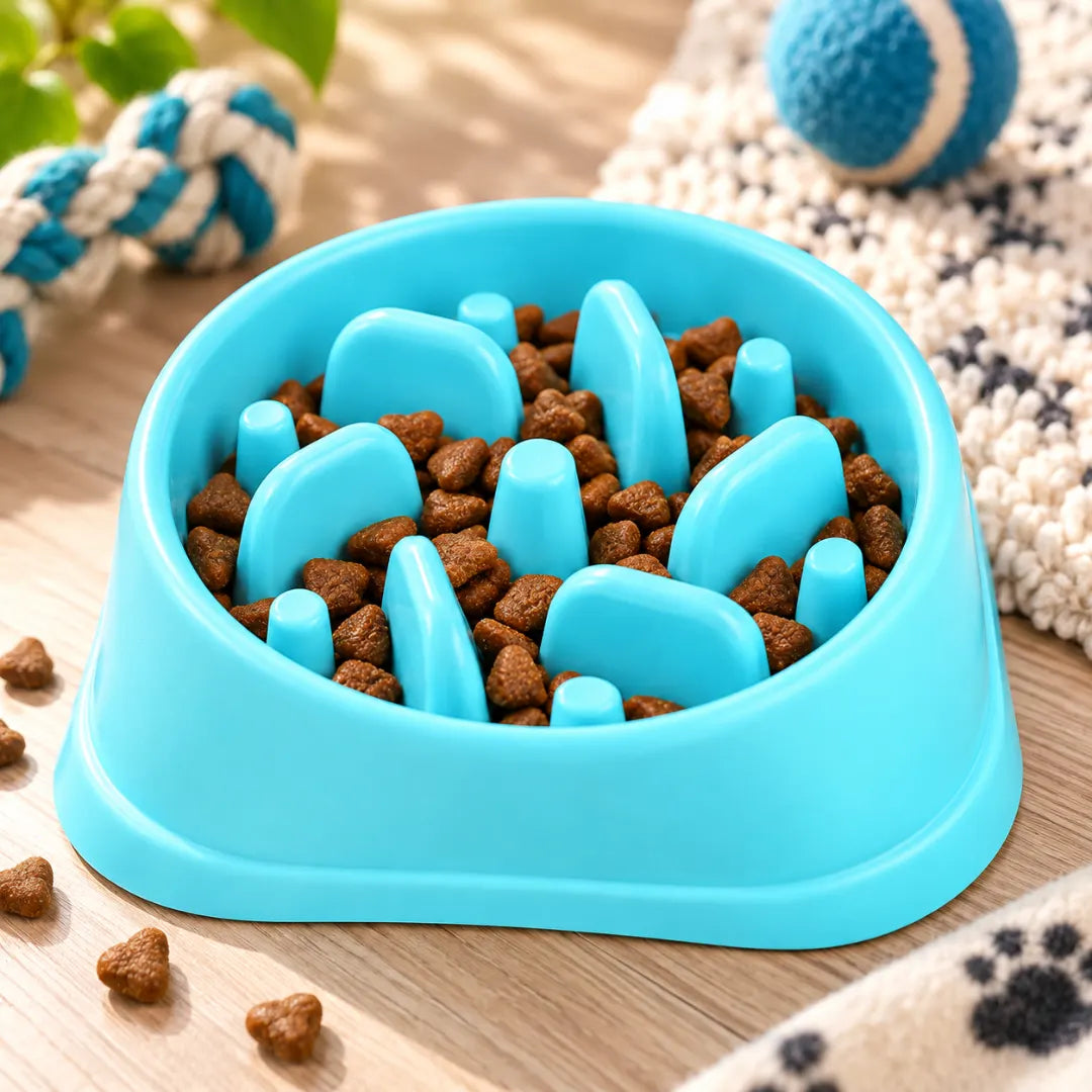 SteadyChew™ Slow Feeder Bowl