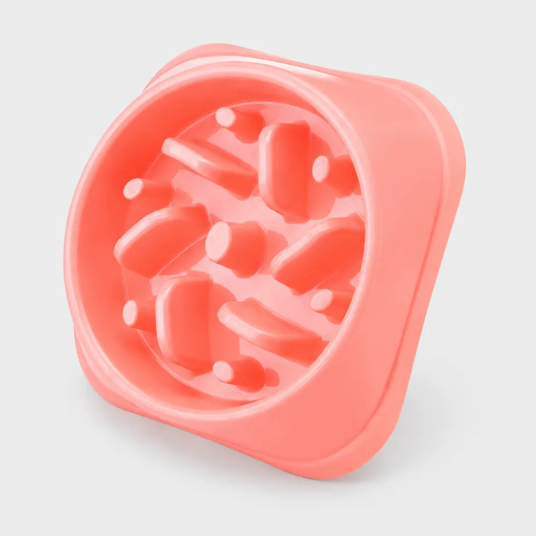 SteadyChew™ Slow Feeder Bowl