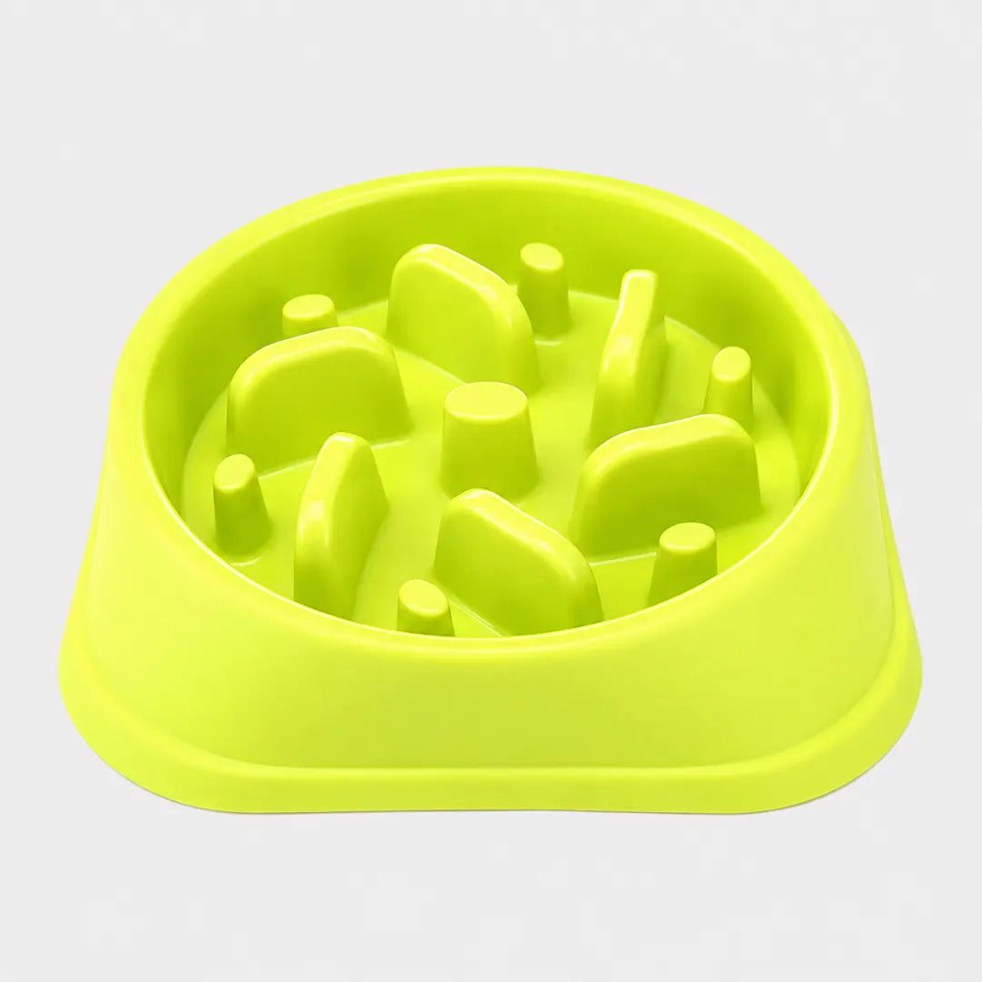 SteadyChew™ Slow Feeder Bowl
