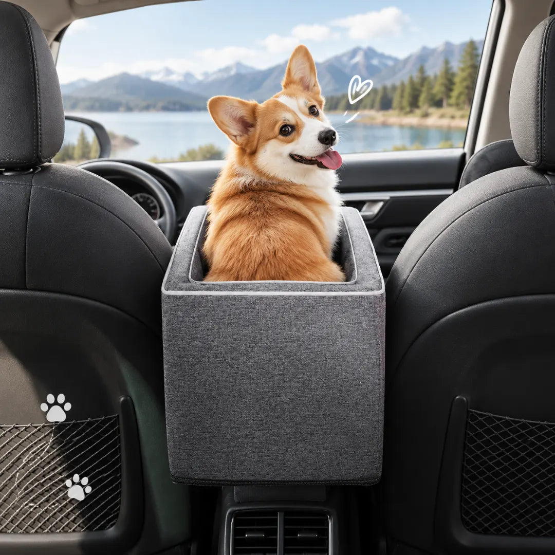 TagAlong™ 2-in-1 Dog Car Seat & Carrier