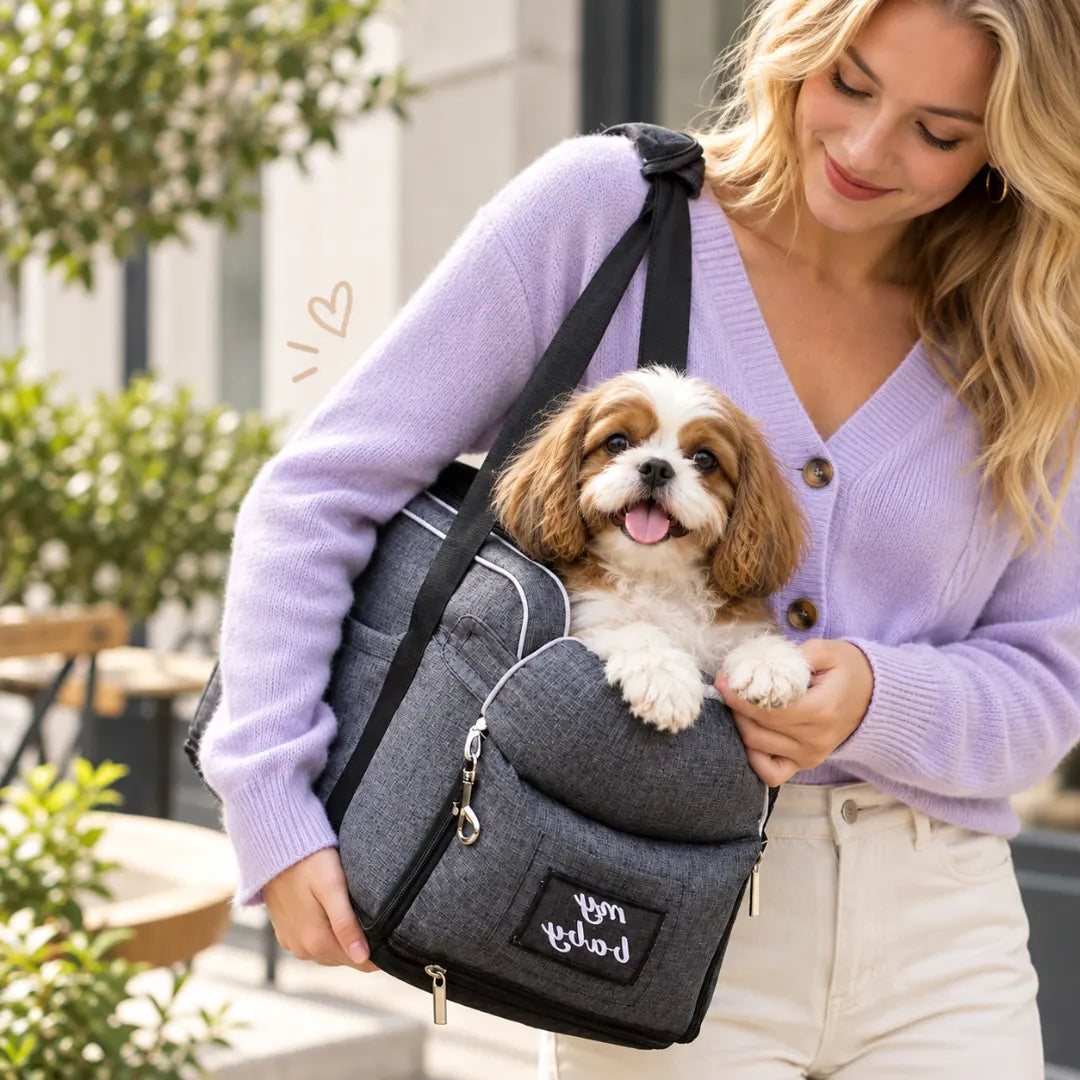 TagAlong™ 2-in-1 Dog Car Seat & Carrier