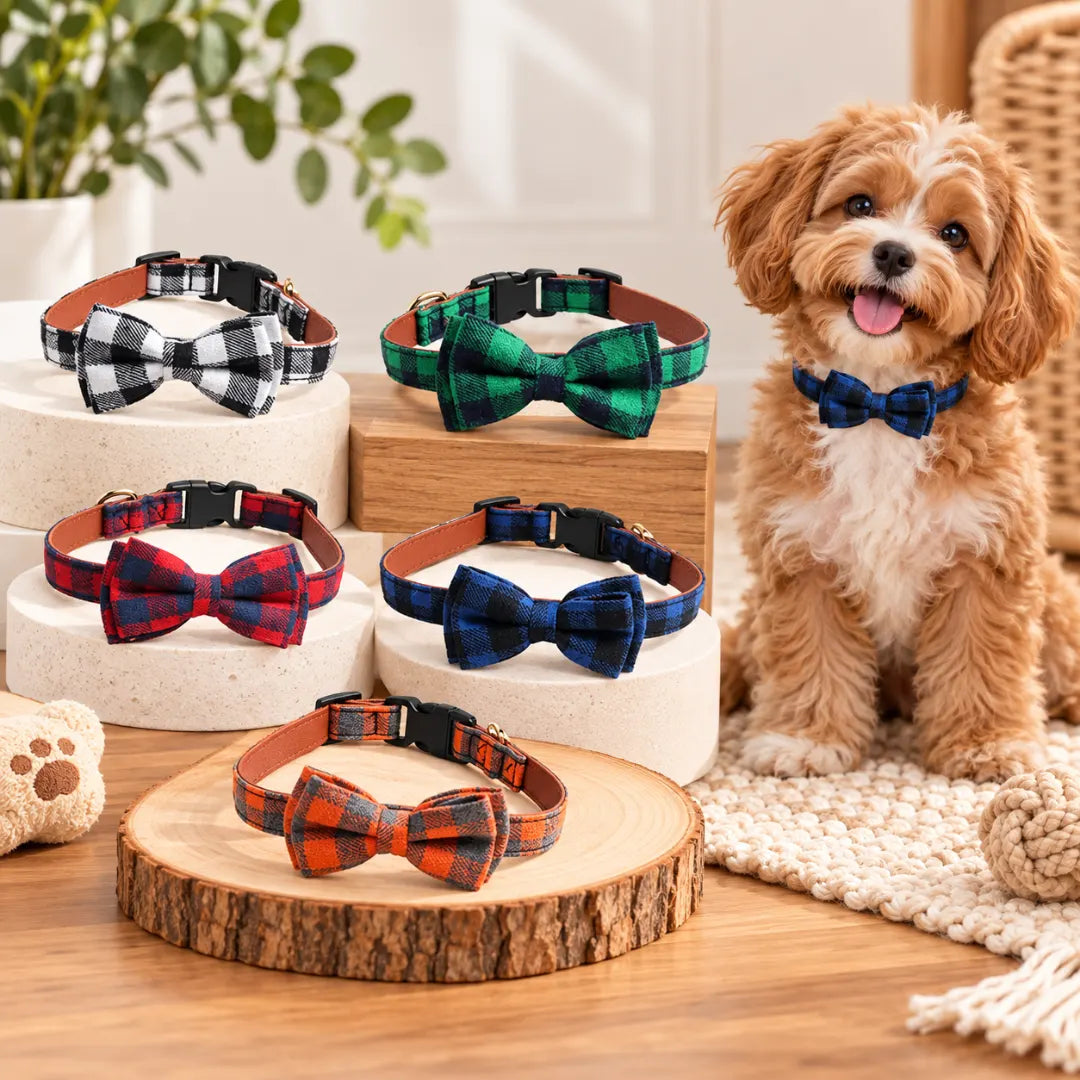 TailorTie™ Bow Tie Dog Collar