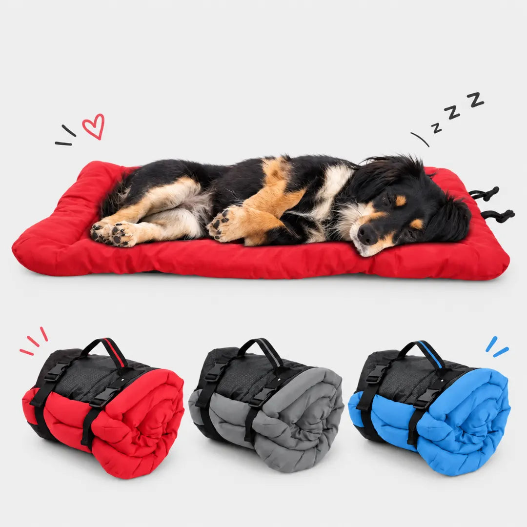 WanderBed™ Portable Dog Bed