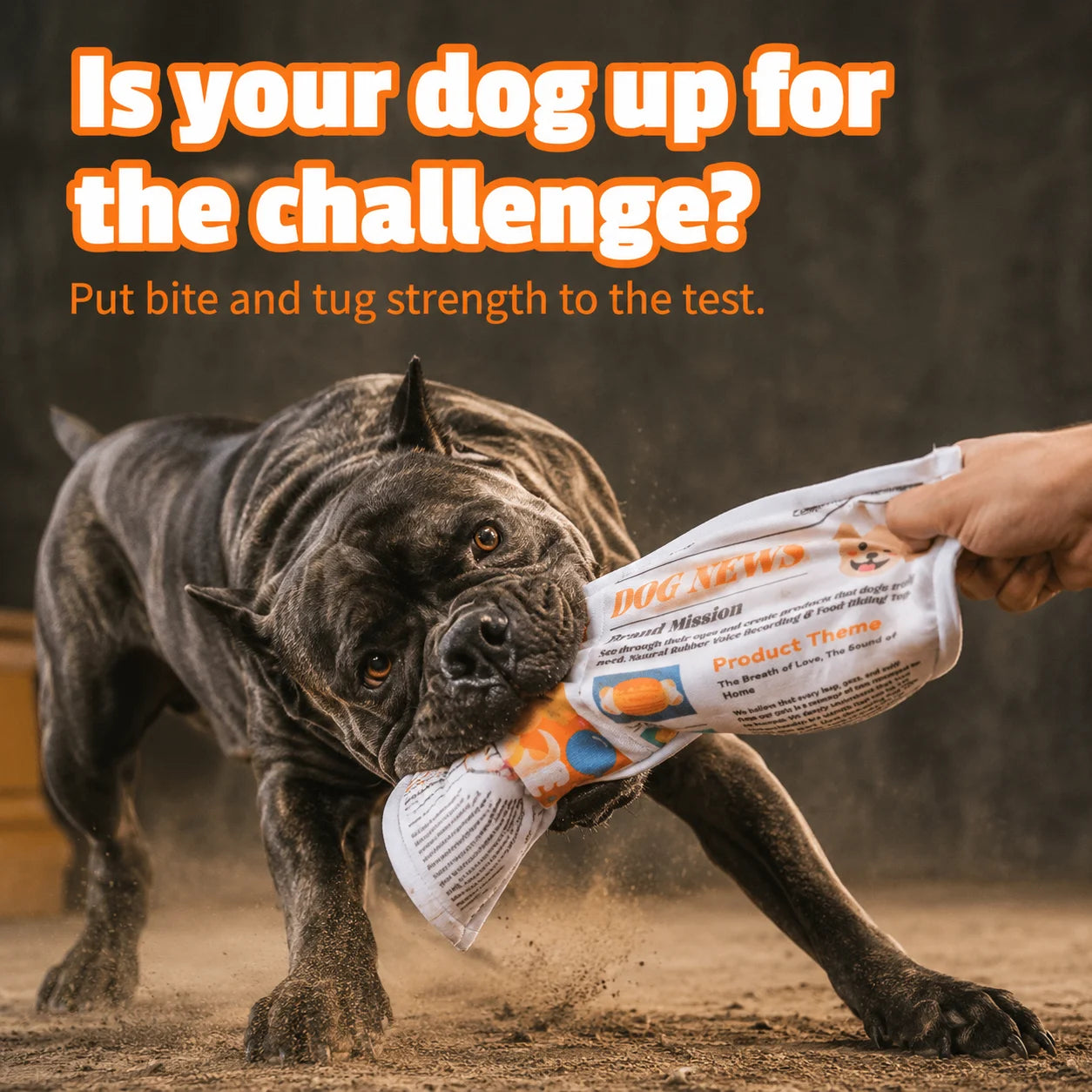 Indestructible Newspaper Dog Toy