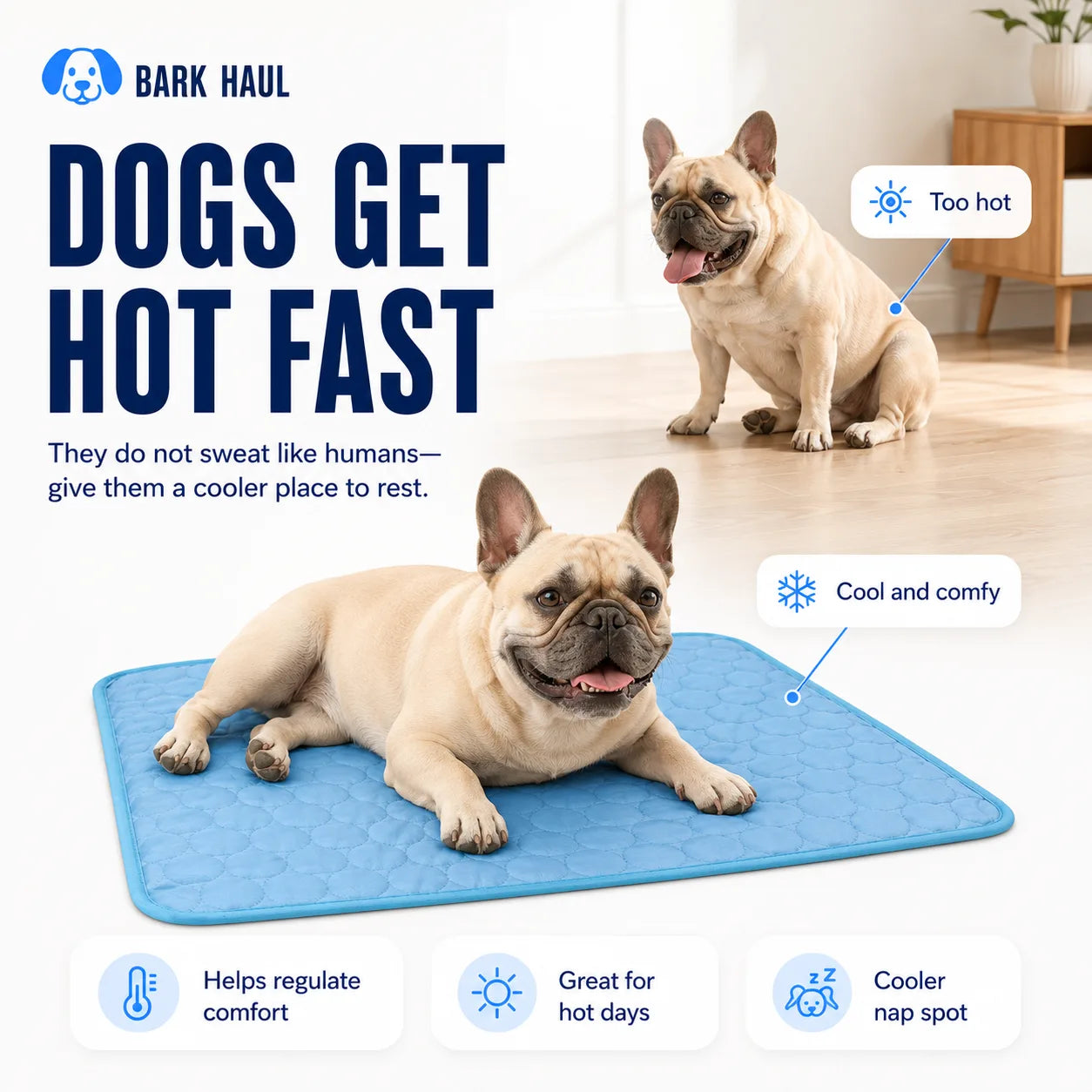 FrostBreath™ Cooling Dog Mat