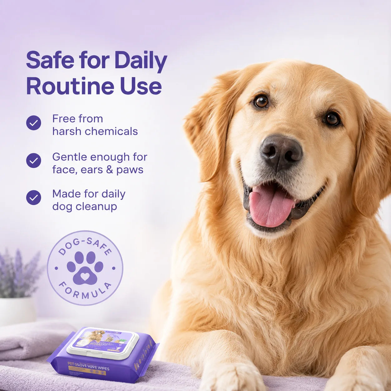 Disposable Glove Wipes for Dogs — The 60-Second Waterless Bath