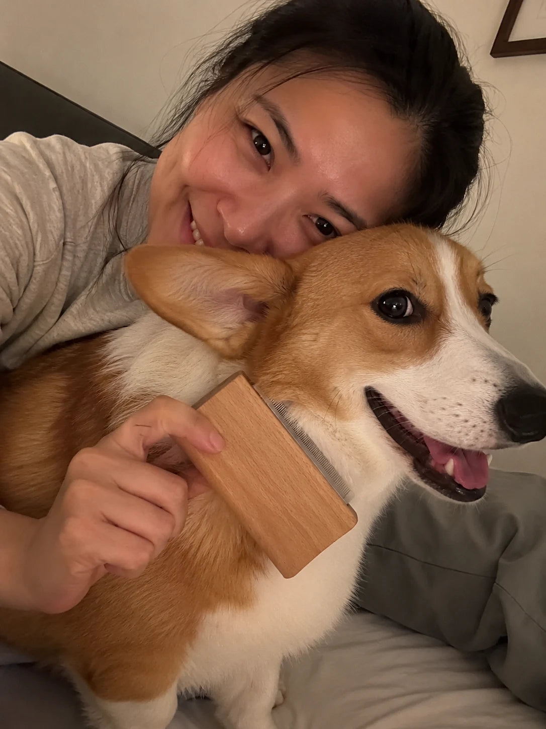 Bark Haul